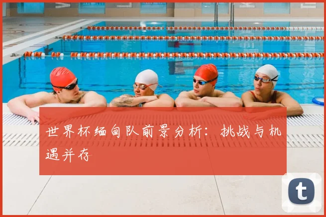 世界杯缅甸队前景分析：挑战与机遇并存