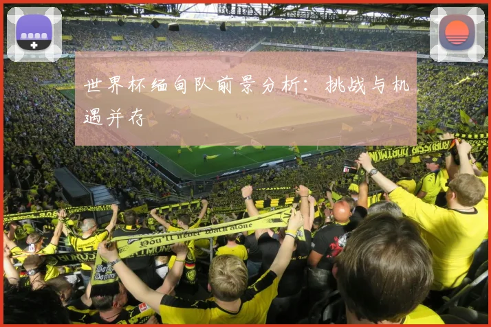 世界杯缅甸队前景分析：挑战与机遇并存